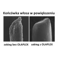 Olaplex NO.5 Bond Maintenance Conditioner odżywka do włosów zniszczonych 250ml 3