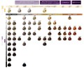 paleta-1.jpg