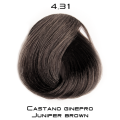 fantasia_4_31.png
