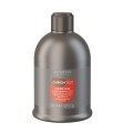 Alter Ego ChromEgo Color Care szampon ochrona farbowanych 300ml 1