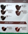 Paleta-kolorów-farb-cold-brown-copper-brown-1.jpg