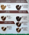 Paleta-kolorów-farb-dore-natural-brown.jpg