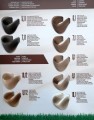 Paleta-kolorów-farb-intense-ash-1.jpg
