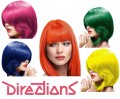la-riche-directions-colors-baner-1.jpg