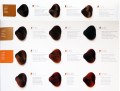 Chestnut-copper-1.JPG