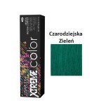 Lisaplex Xtreme Color Fairy Green Zieleń koloryzacja bezpośrednia 60ml 