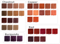 a-chestnut-copper-red-burgundy.png