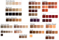 a-wszystkie-odcienie-RevlonissimoColor-and-Care-1.png