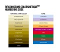 grup-colors-revlonissimo-new-1.jpg