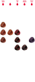 Screenshot 2024-05-18 at 12-02-22 Cartella colore Reverso Hair Color - Selective Professional.png