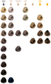 Screenshot 2024-05-18 at 11-59-58 Cartella colore Reverso Hair Color - Selective Professional.png