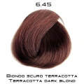 fantasia_6_45.png