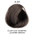 fantasia_4_31.png