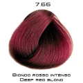 rossi_7_66.png