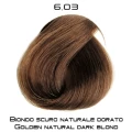 dorati_6_03.png