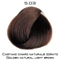 dorati_5_03.png