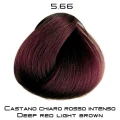rossi_5_66.png