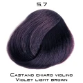 violini_5_7.png