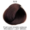 mogano_5_5.png