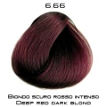 rossi_6_66.png