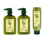 CHI Olive Organics szampon 340ml + odżywka 340ml + maska 177ml